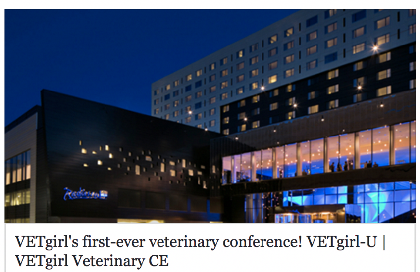 VETgirl's firstever veterinary conference! VETgirlU VETgirl