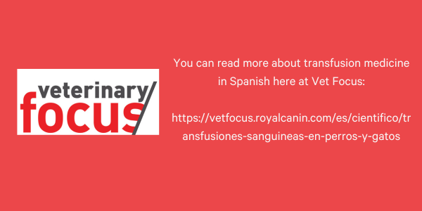Vet Focus transfusion Spanish v2