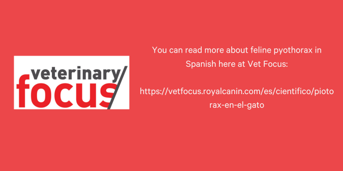 Vet Focus Pyothorax Spanish