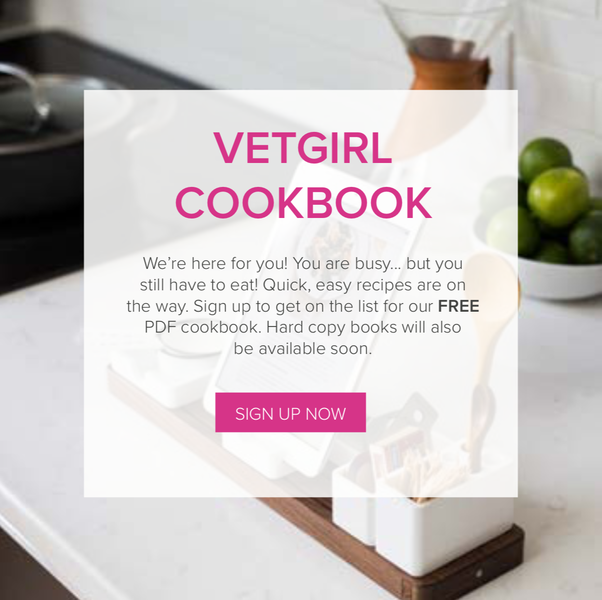 VETgirl cookbook ad