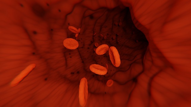 platelet, coag, coagulopathy, rbc, red blood cell, vetgirl blog, CURATIVE, hypocoagulability, hypercoagulability, PT, PTT, heparin, clopidogrel, ASA, aspirin