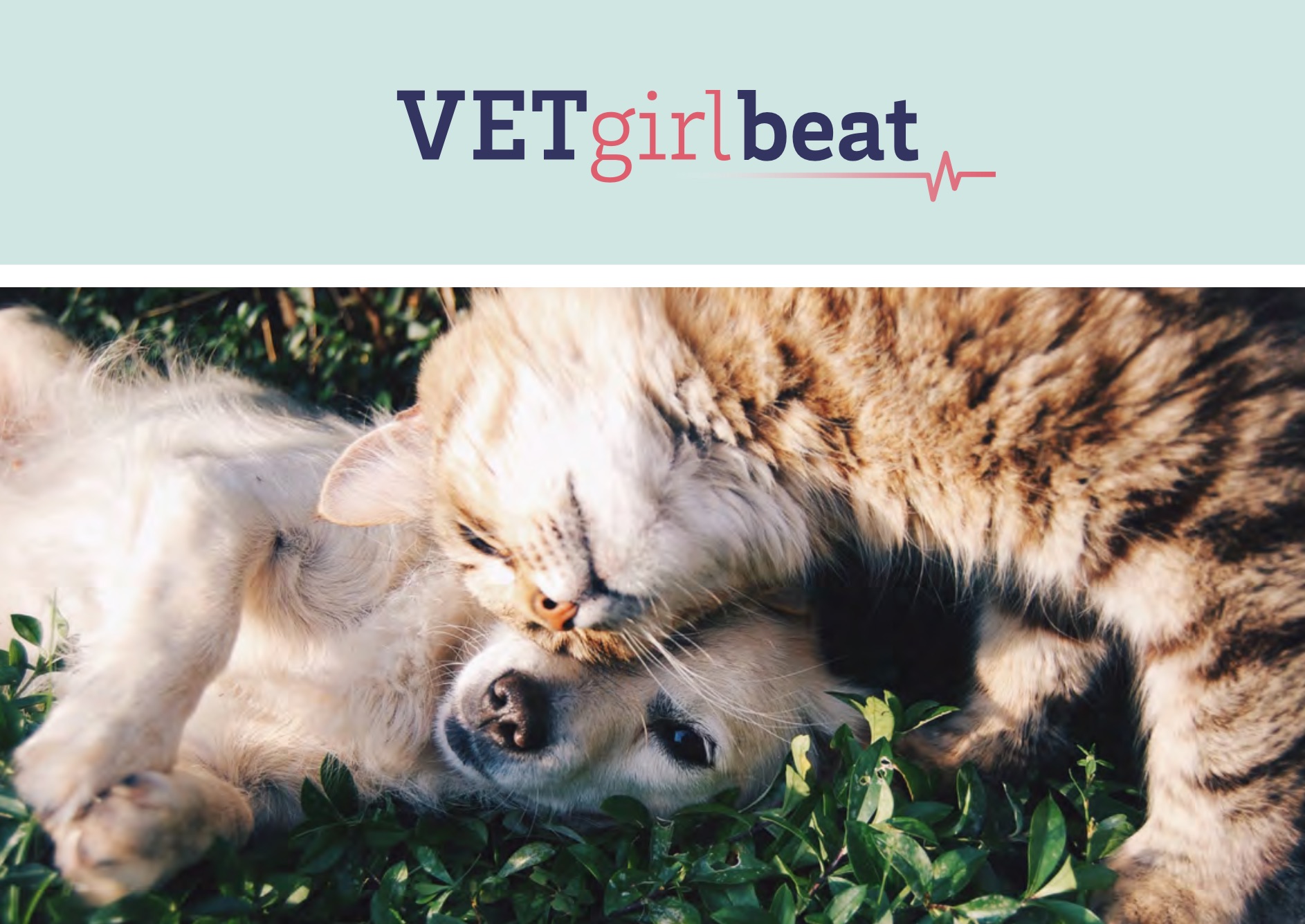 VETgirl image of a VETgirl beat enewsletter