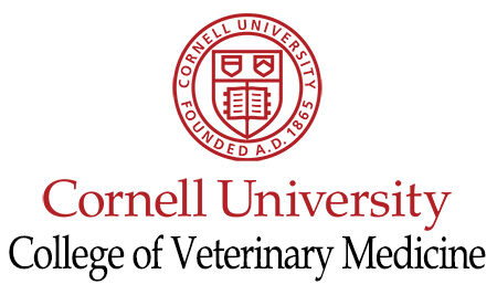 VETgirl Diversity Equity-Stipendium bei Cornell Vet