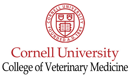 VETgirl Diversity Equity Scholarship at Cornell Vet