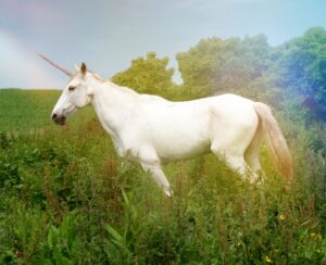 White unicorn 