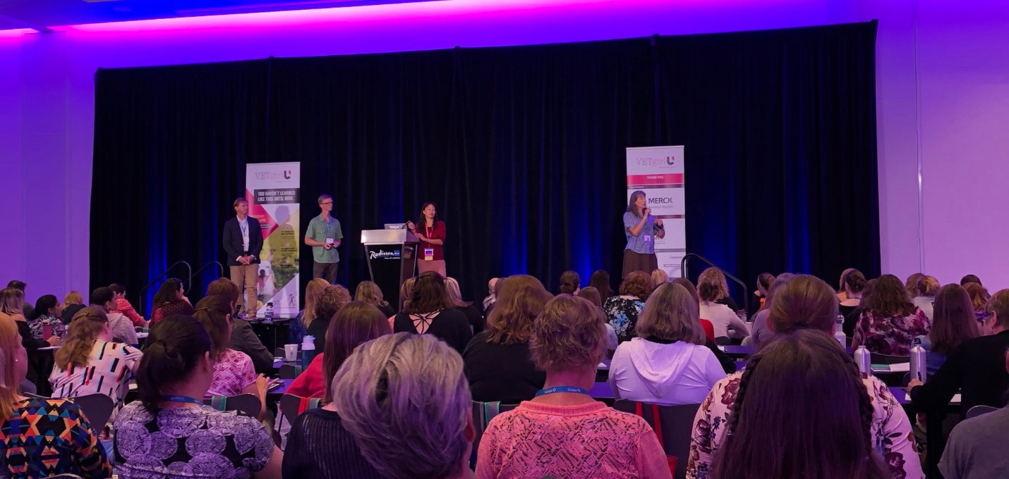 VETgirl U 2018 at Minneapolis stage