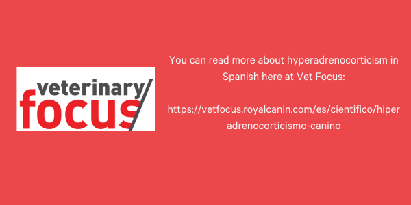 Vet Focus Cushings Espanhol