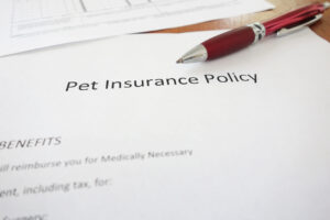 Apólice de seguro para animais de estimação com caneta em uma mesa