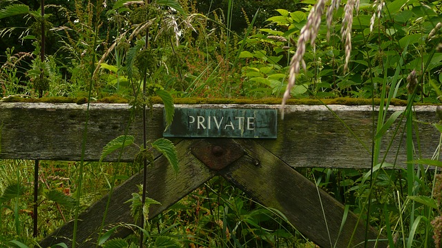 VETgirl boundaries private fence blog