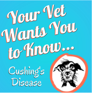 A Veterinary Dermatologist's Approach to Cushing's Disease in Dogs |  VETgirl Veterinary Continuing Education Blog