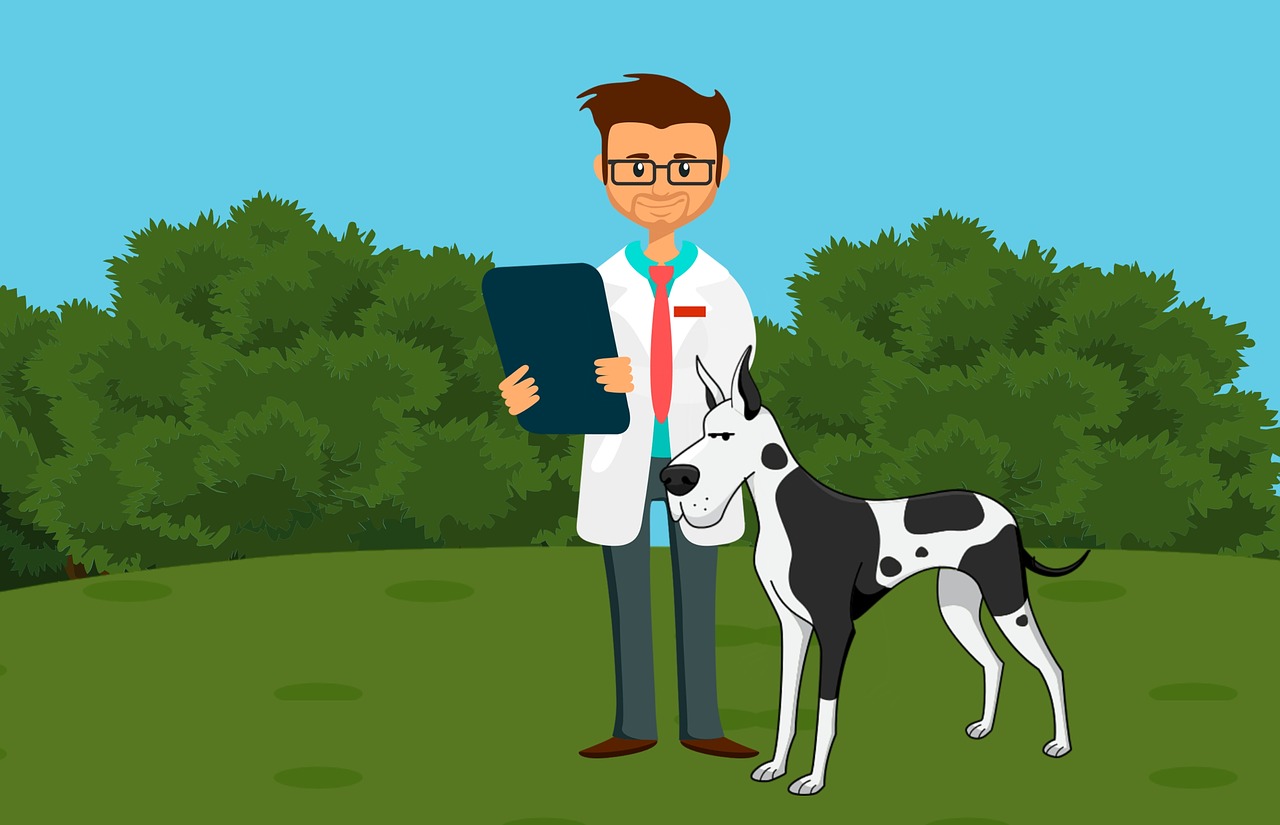 What You Didn’t Learn in Vet School Preparing a Veterinary Student for