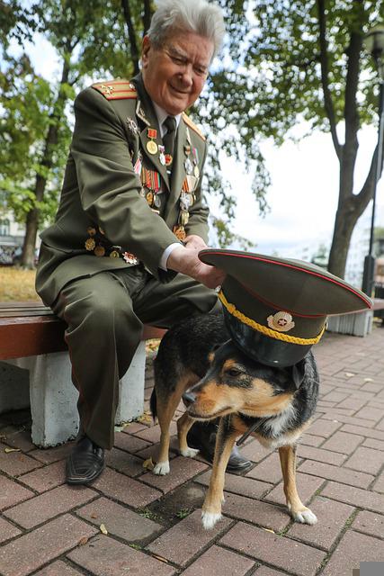 veteran playing with dog