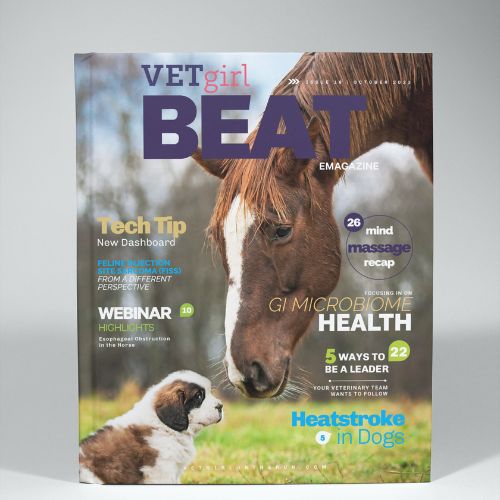 October: VETgirl beat