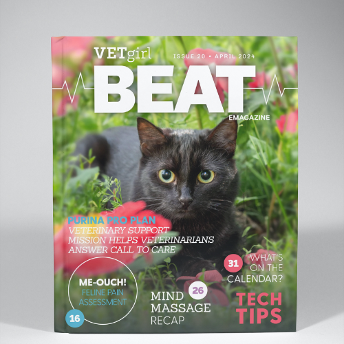 April: VETgirl beat