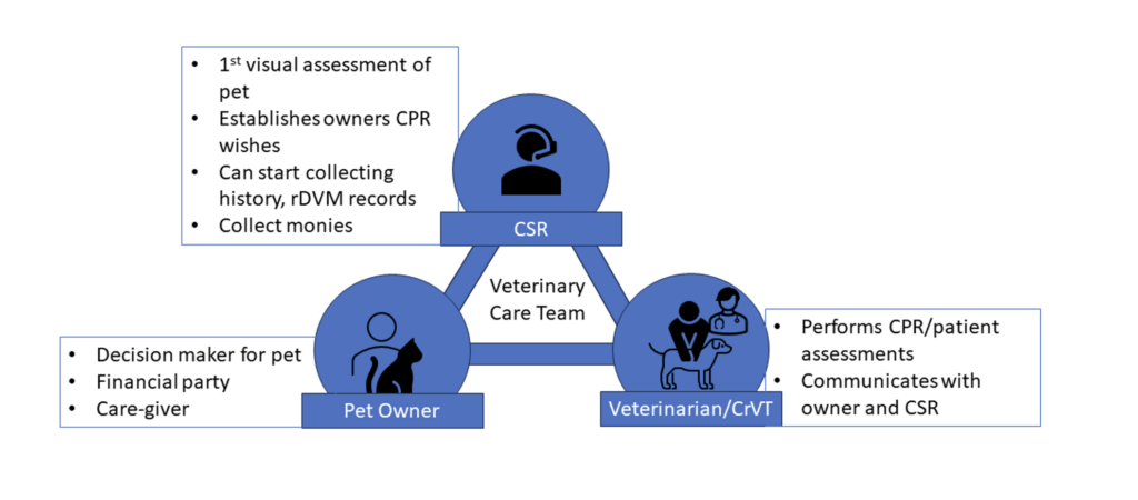 Distribution of duties veterinary care team CPR VETgirl blog