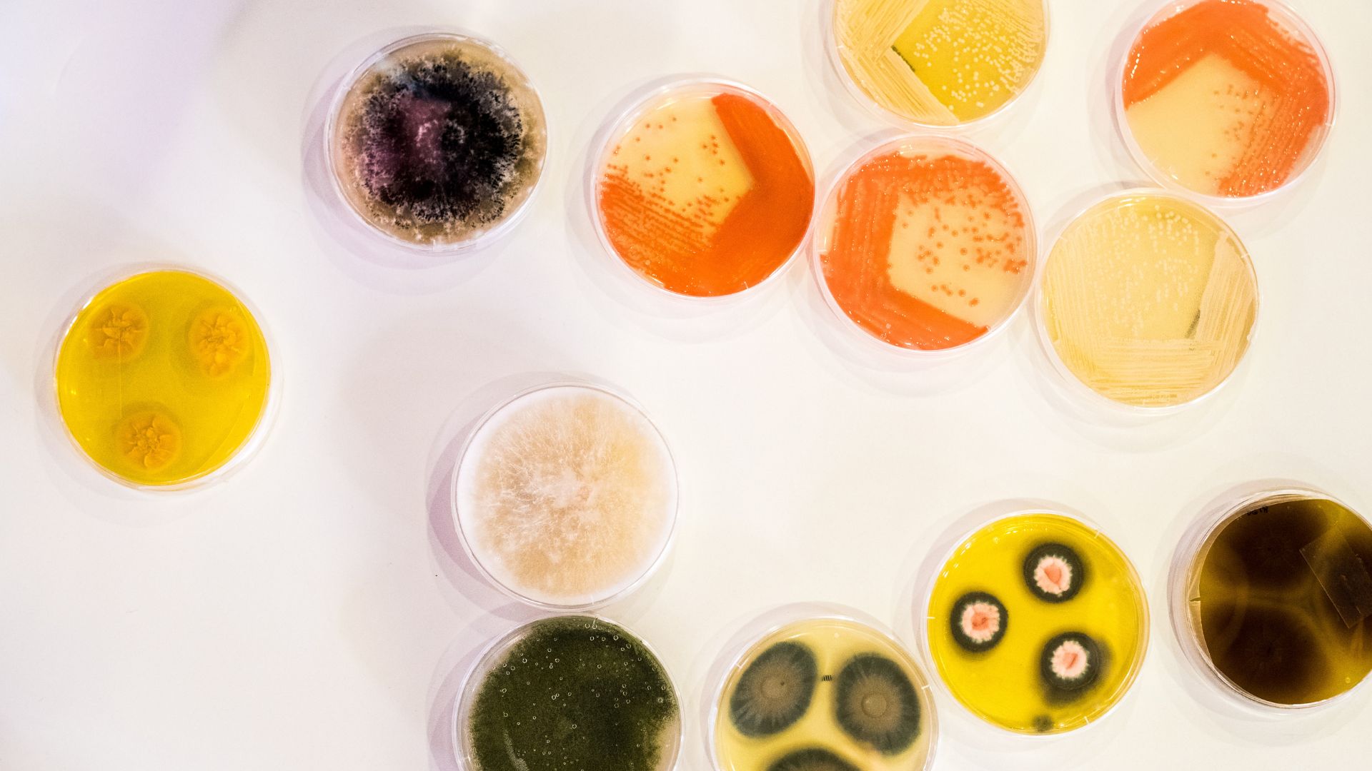 Smart Selection Using Culture Reports to Guide Antibiotic Use