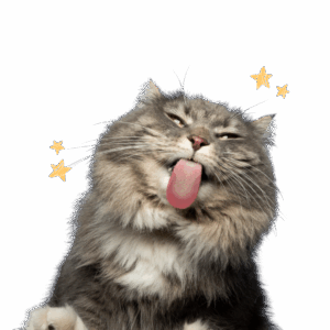 Cat with tongue