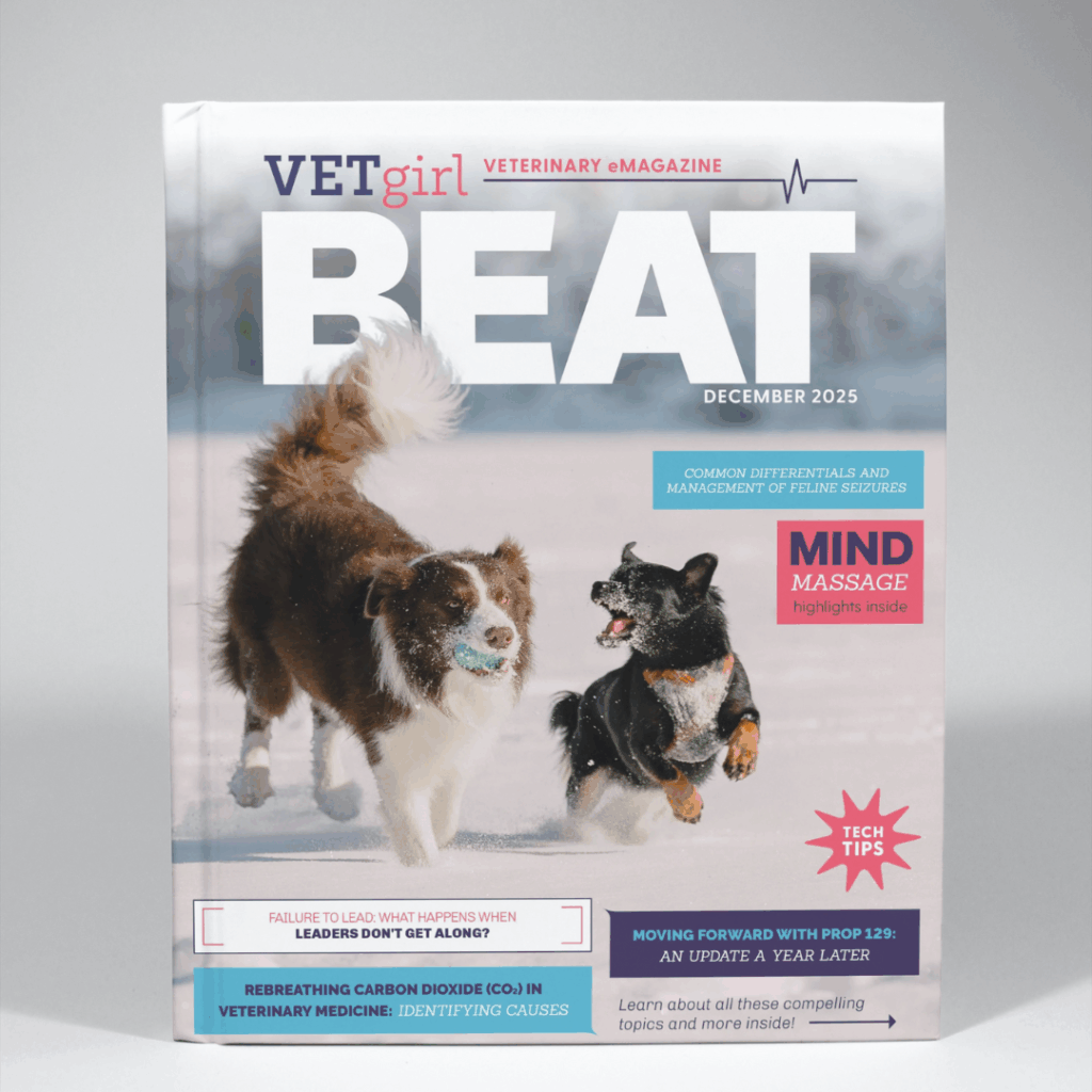 December: VETgirl beat