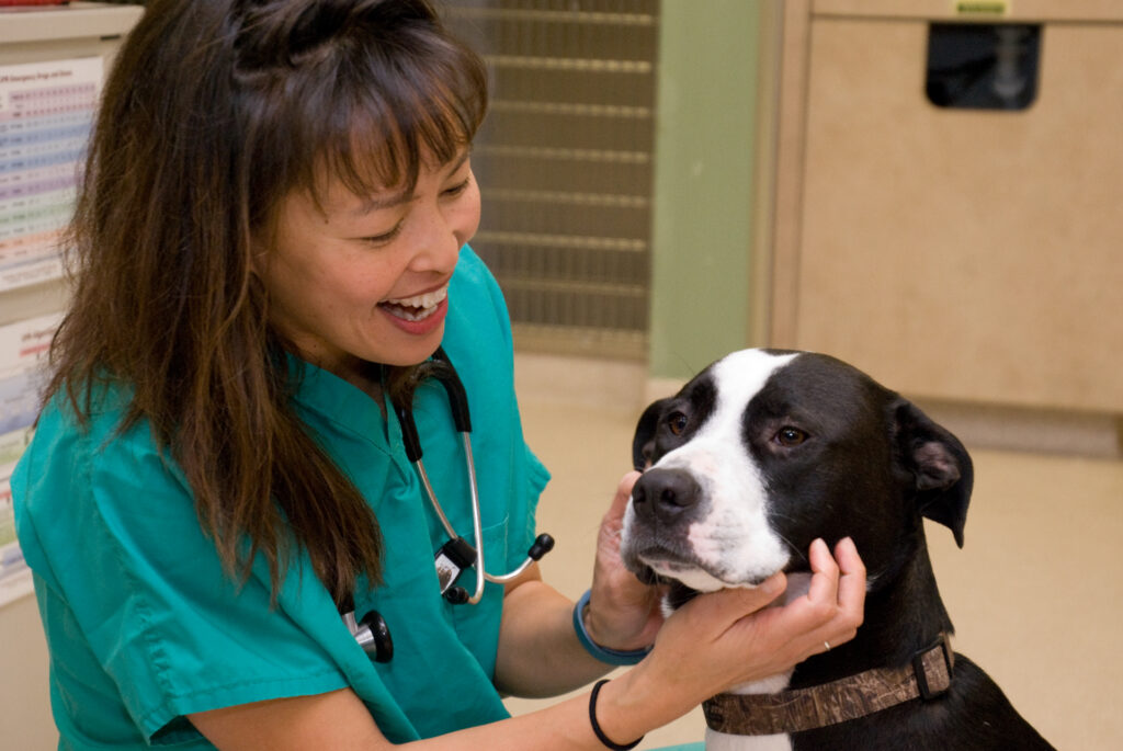 Dr. Justine Lee’s All-Time Favorites